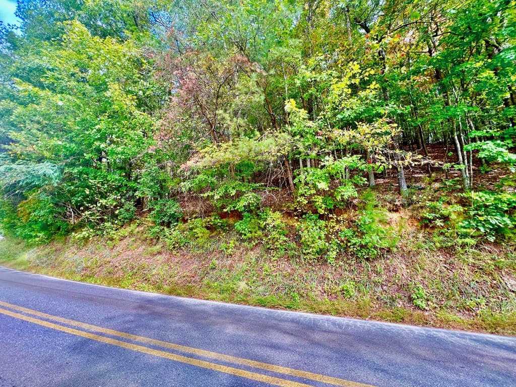 12 Cherokee Drive, Ellijay GA 30540 - Photo