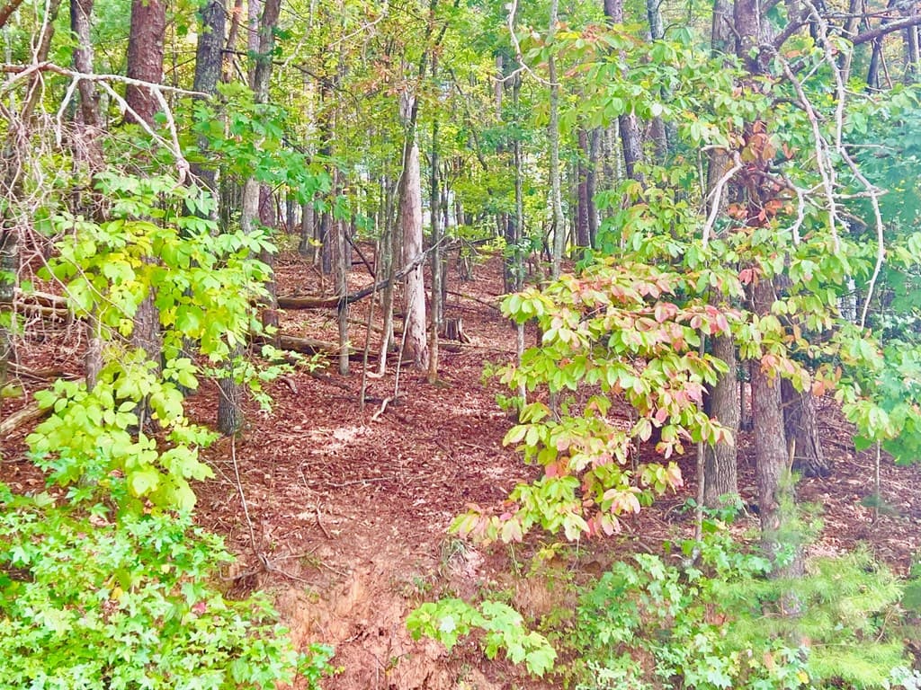 12 Cherokee Drive, Ellijay GA 30540 - Photo