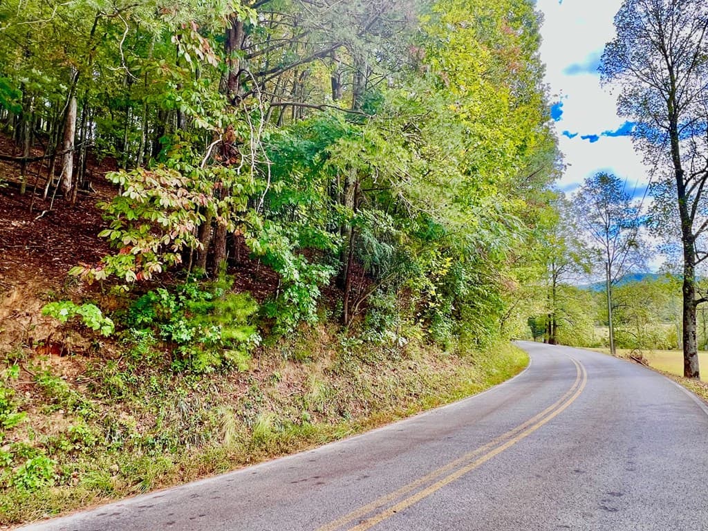 12 Cherokee Drive, Ellijay GA 30540 - Photo
