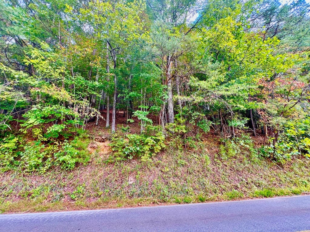 12 Cherokee Drive, Ellijay GA 30540 - Photo