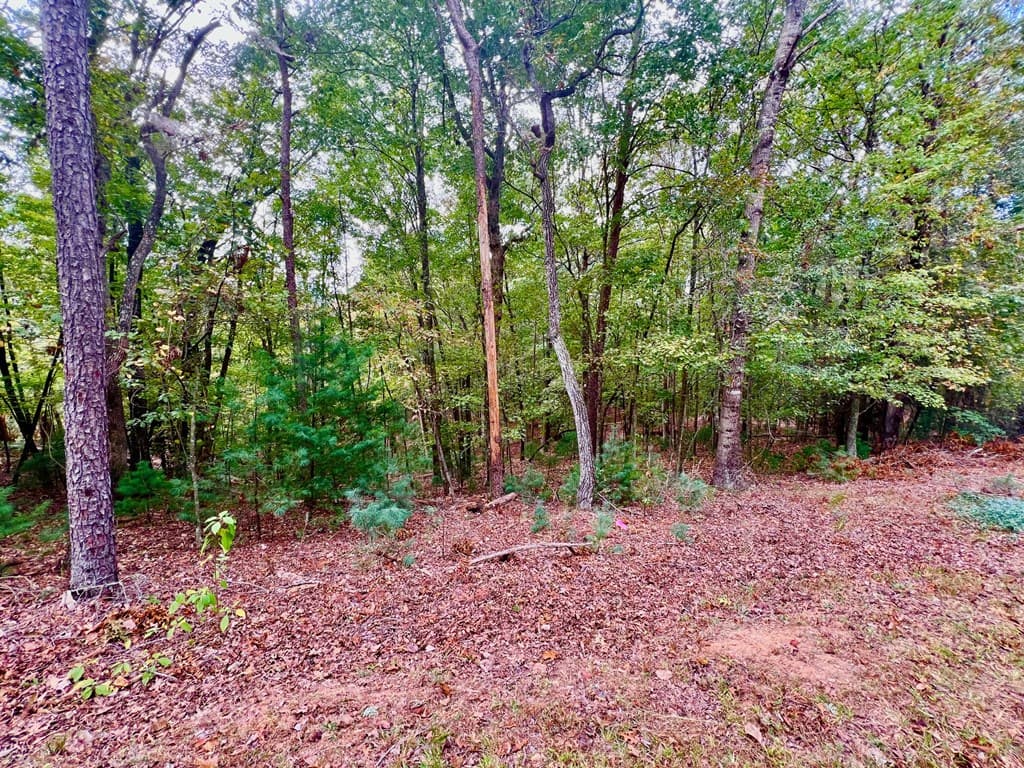 298 Etowah Drive, Ellijay GA 30540 - Photo