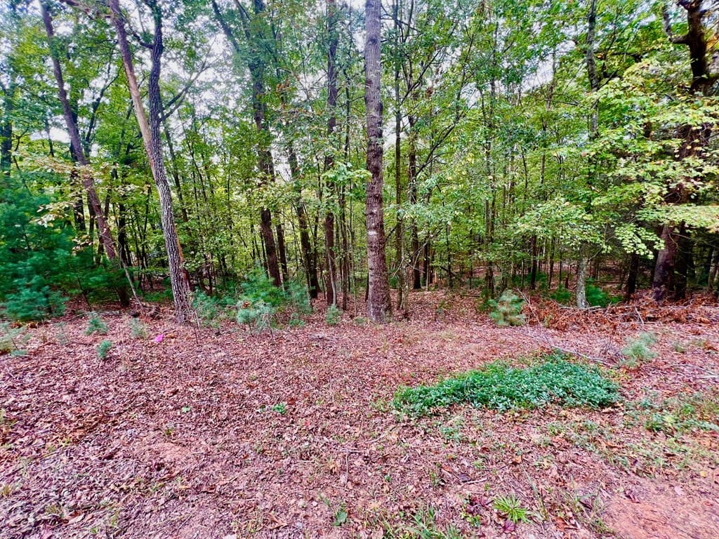 298 Etowah Drive, Ellijay GA 30540 - Photo