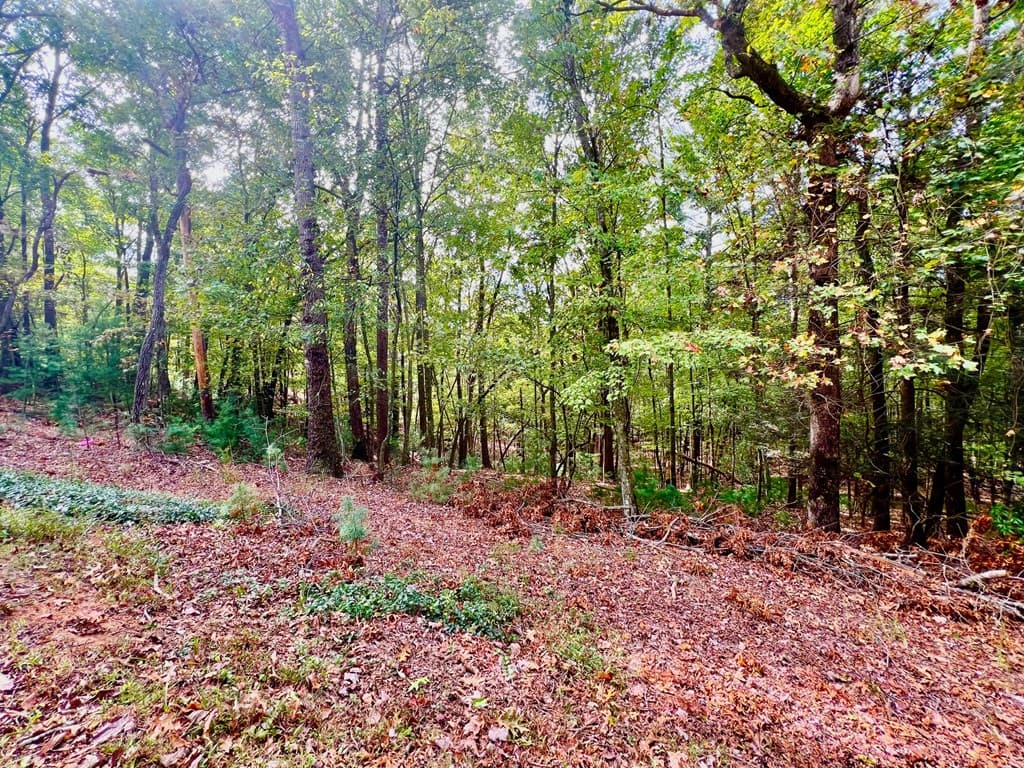 298 Etowah Drive, Ellijay GA 30540 - Photo