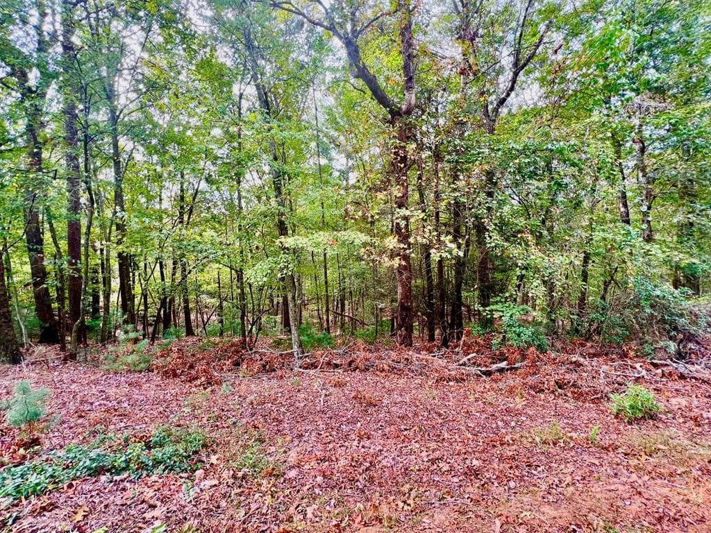 298 Etowah Drive, Ellijay GA 30540 - Primary photo