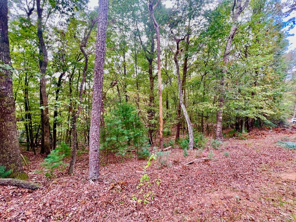 298 Etowah Drive, Ellijay GA 30540 - Photo