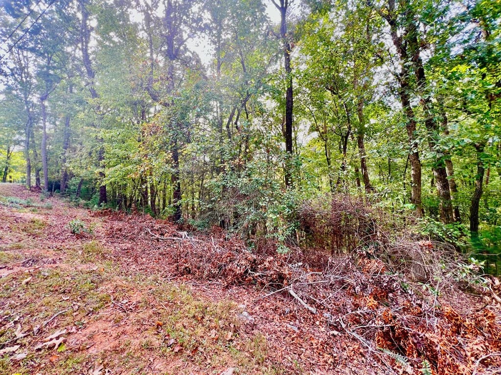 298 Etowah Drive, Ellijay GA 30540 - Photo