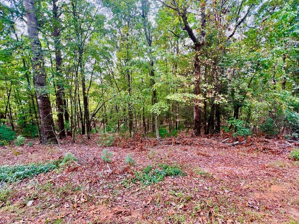 298 Etowah Drive, Ellijay GA 30540 - Photo