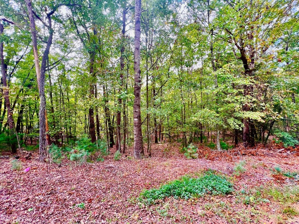 298 Etowah Drive, Ellijay GA 30540 - Photo