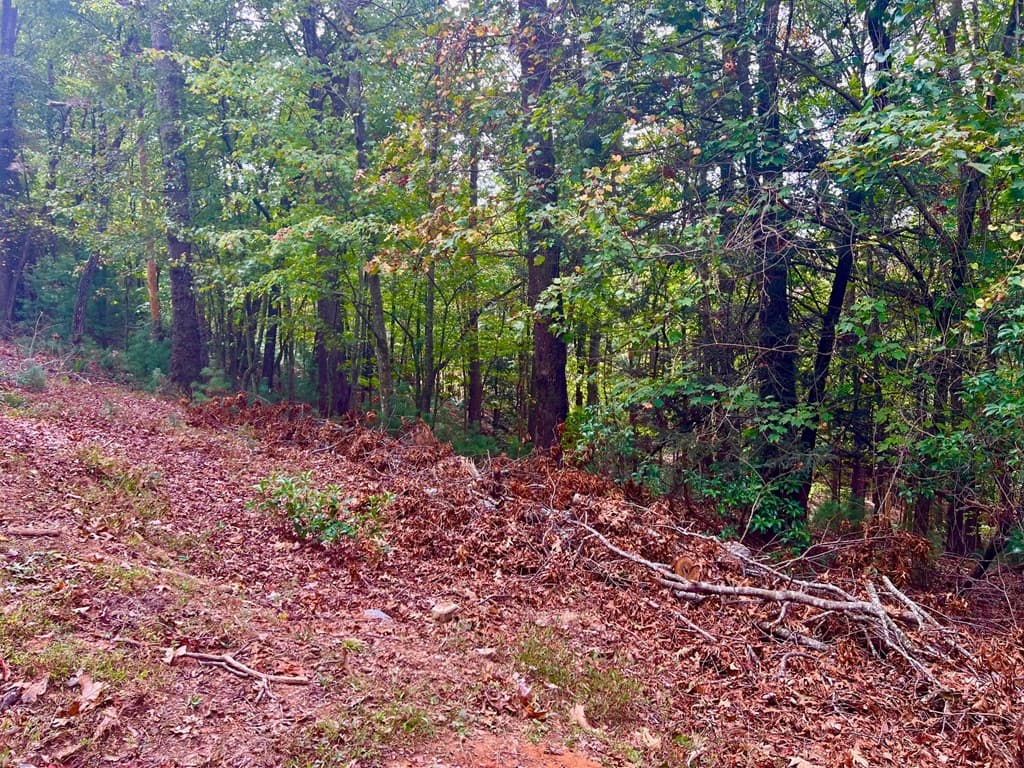 298 Etowah Drive, Ellijay GA 30540 - Photo