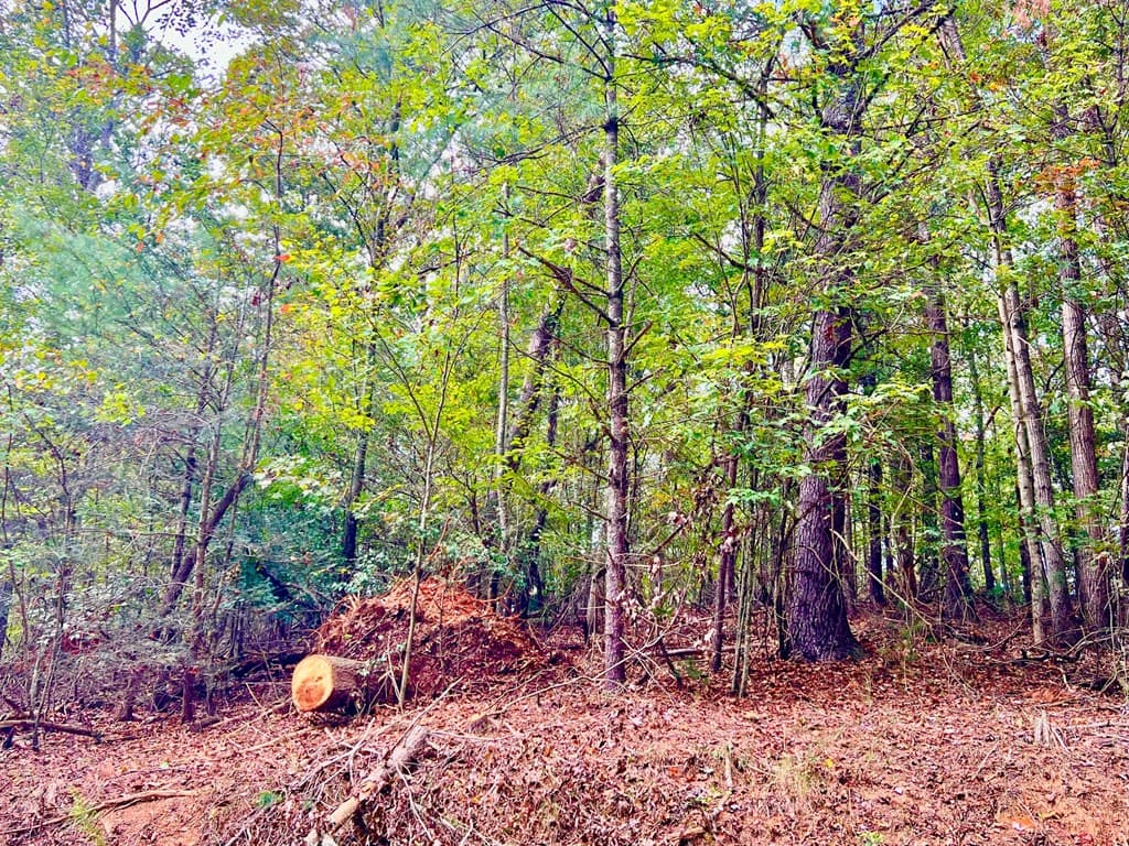 573 Cataula Court, Ellijay GA 30540 - Photo