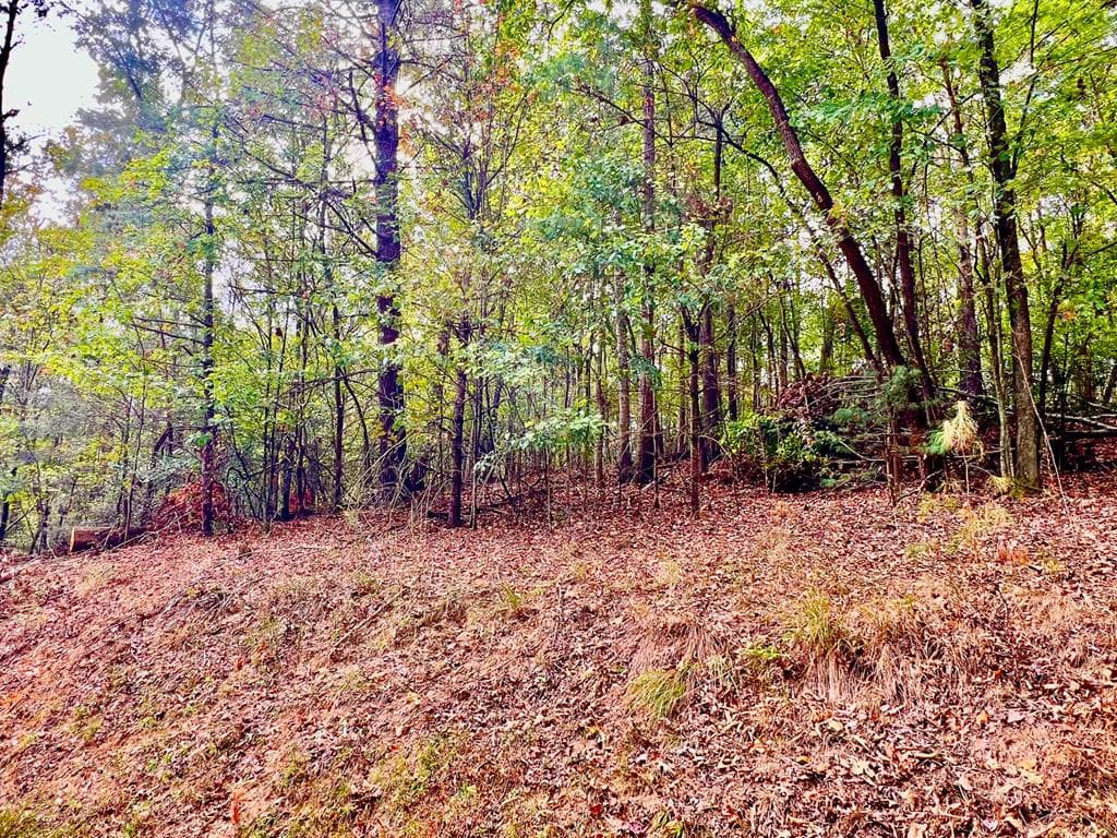 573 Cataula Court, Ellijay GA 30540 - Primary photo