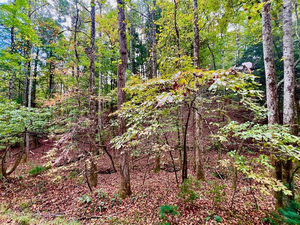 573 Cataula Court, Ellijay GA 30540 - Photo