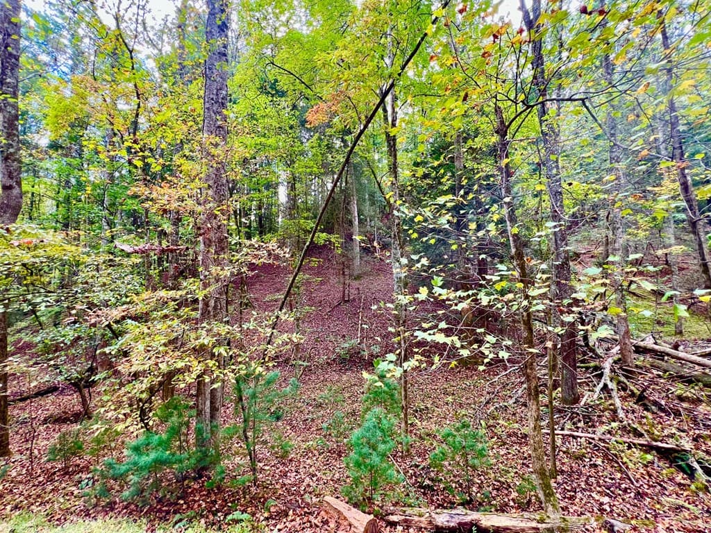 573 Cataula Court, Ellijay GA 30540 - Photo