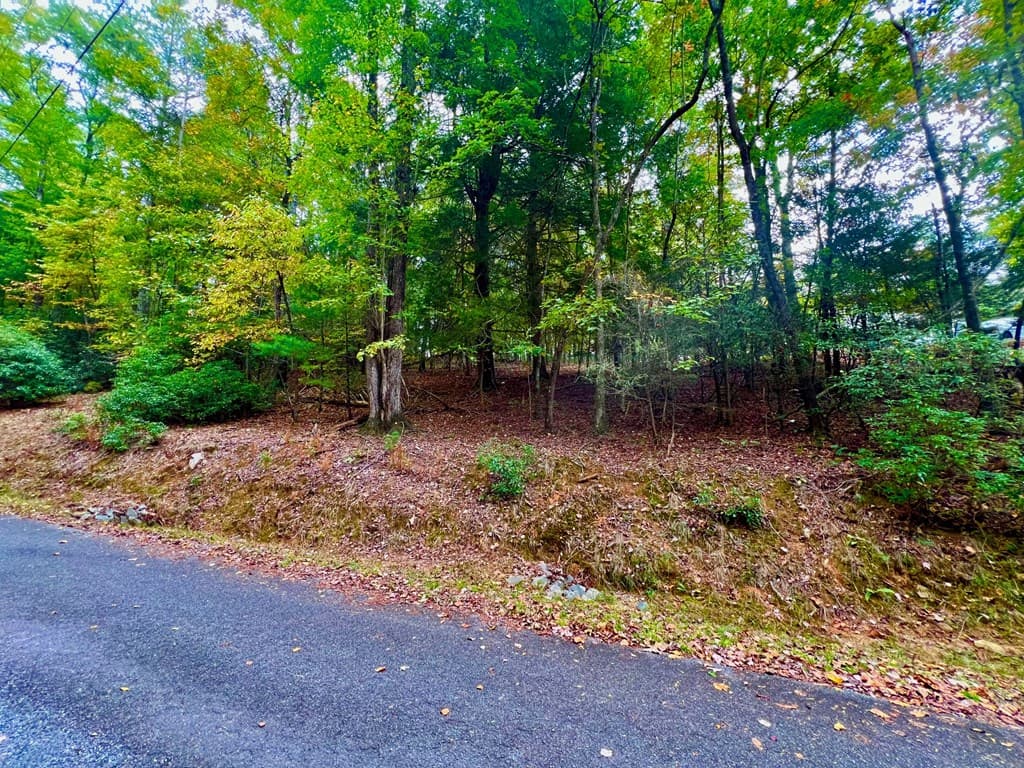 548 North Satsuma Court, Ellijay GA 30540 - Photo