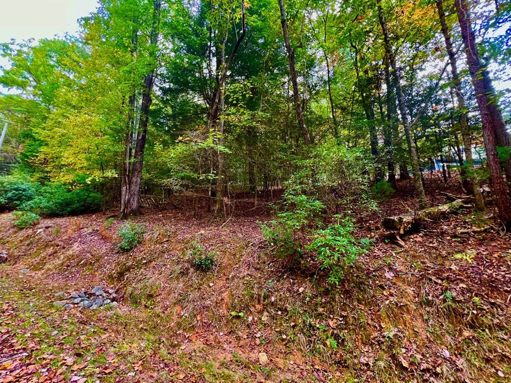 548 North Satsuma Court, Ellijay GA 30540 - Photo
