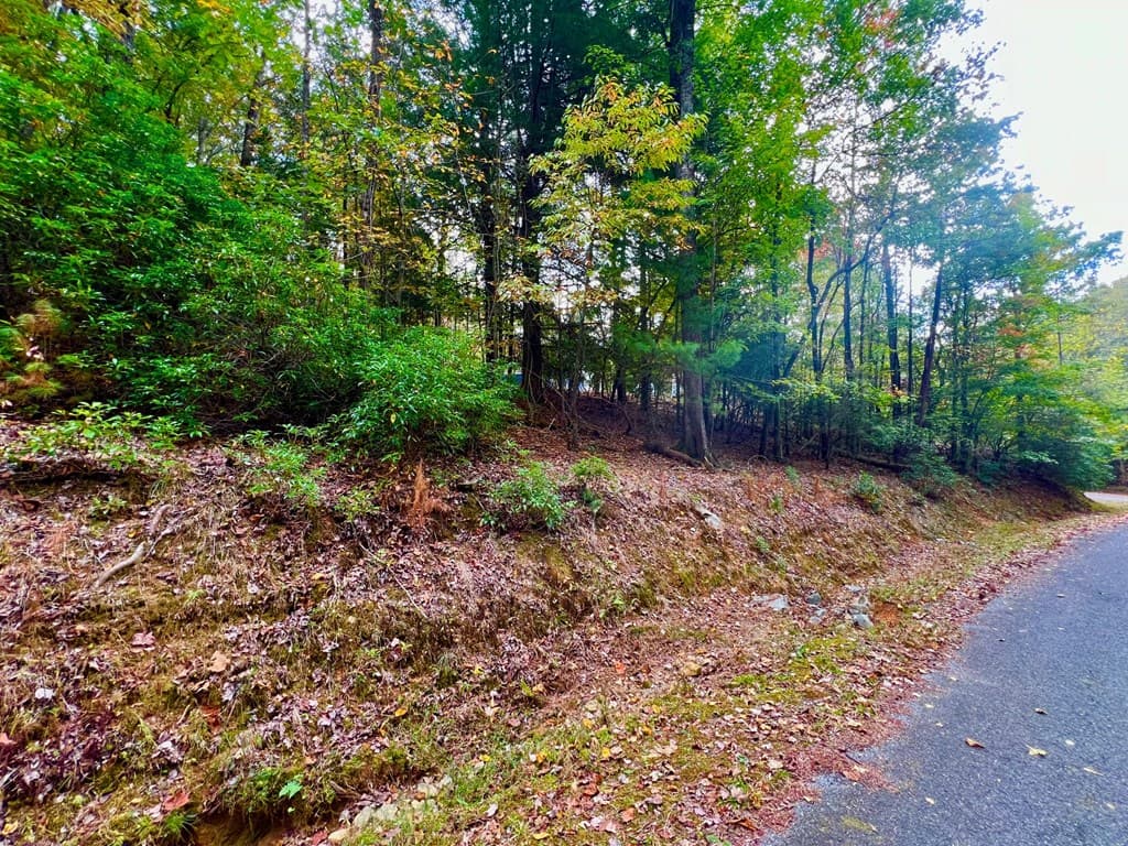 548 North Satsuma Court, Ellijay GA 30540 - Photo