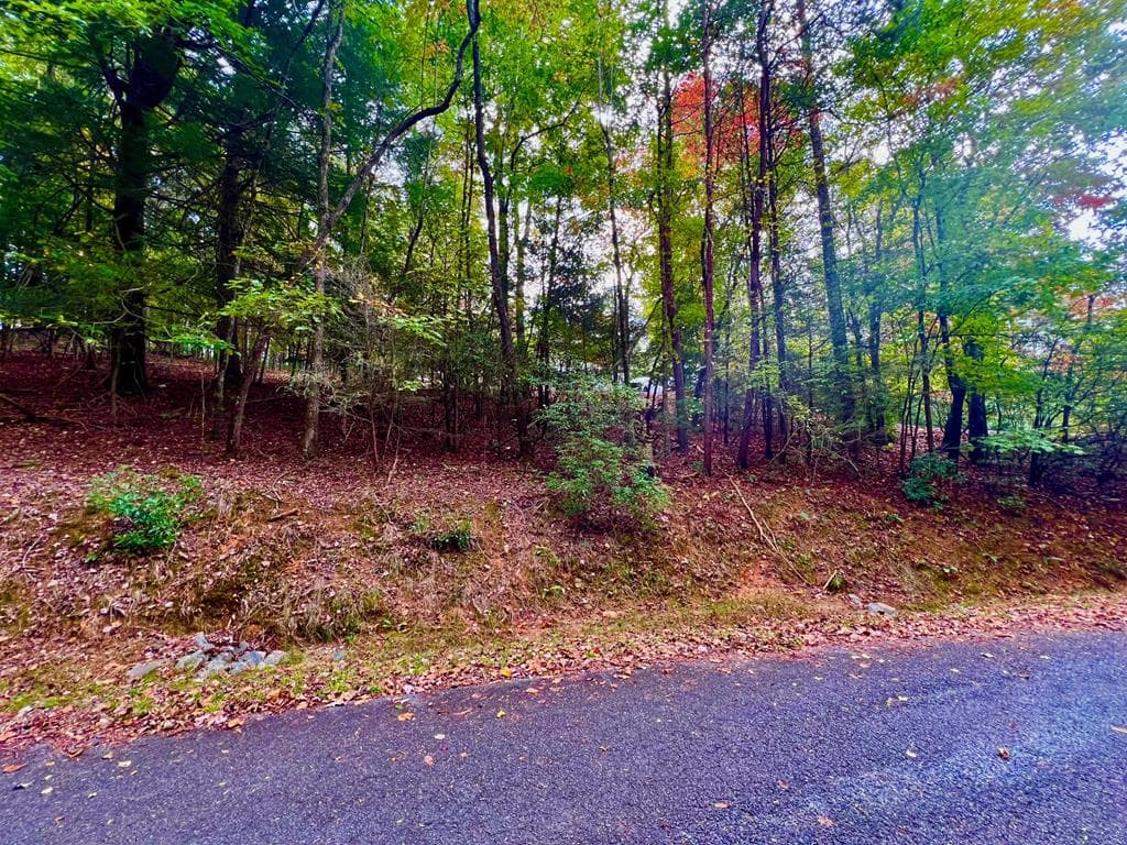 548 North Satsuma Court, Ellijay GA 30540 - Primary photo