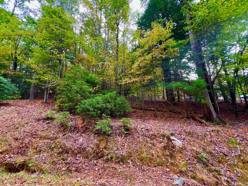 548 North Satsuma Court, Ellijay GA 30540 - Photo