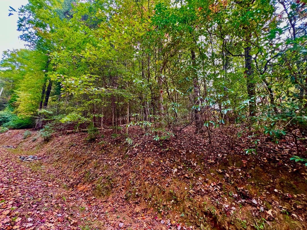 548 North Satsuma Court, Ellijay GA 30540 - Photo