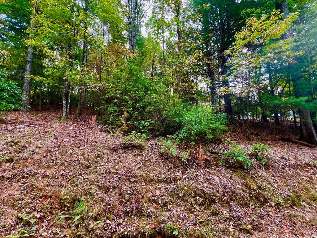 548 North Satsuma Court, Ellijay GA 30540 - Photo