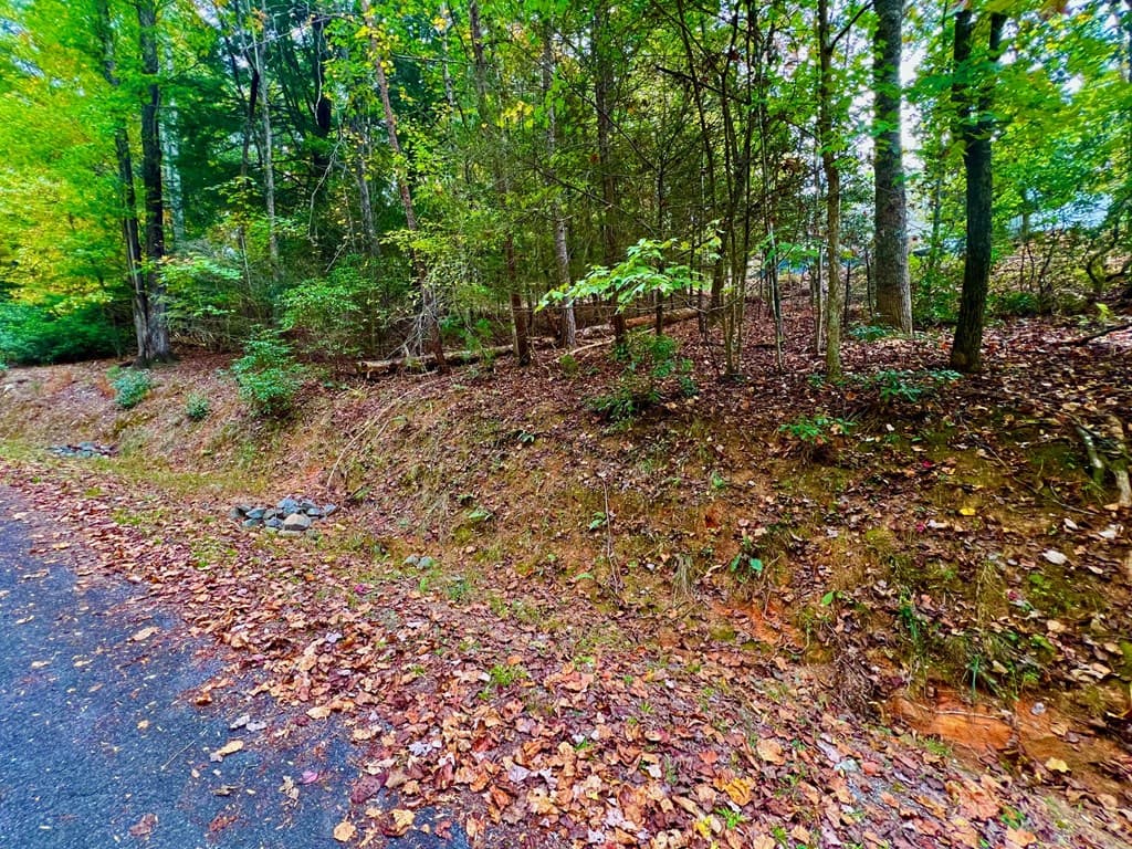548 North Satsuma Court, Ellijay GA 30540 - Photo