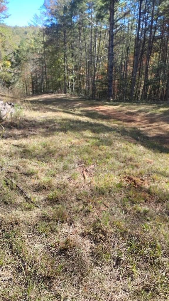 00 Rizzitello Lane, Blairsville GA 30512 - Photo