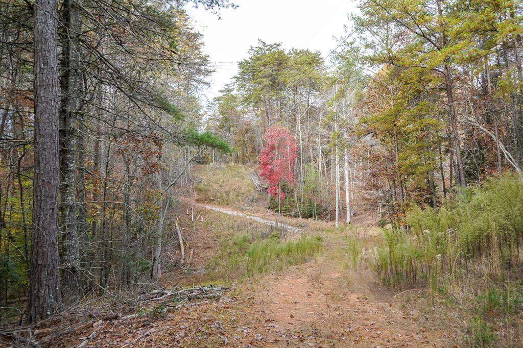 00 Rizzitello Lane, Blairsville GA 30512 - Photo