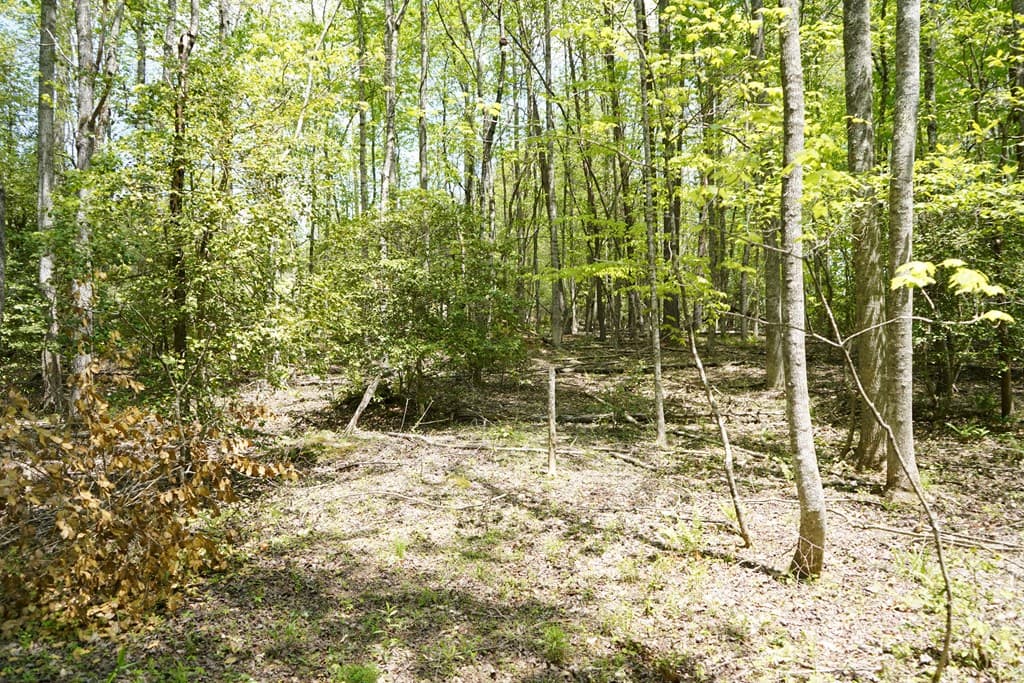 00 Rizzitello Lane, Blairsville GA 30512 - Photo