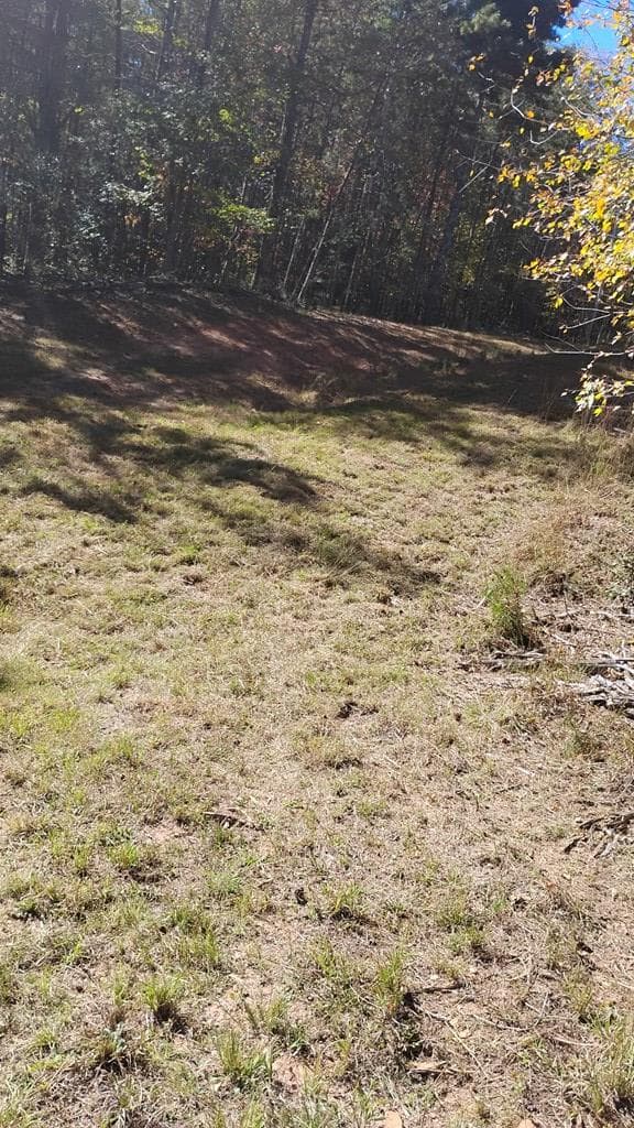 00 Rizzitello Lane, Blairsville GA 30512 - Photo