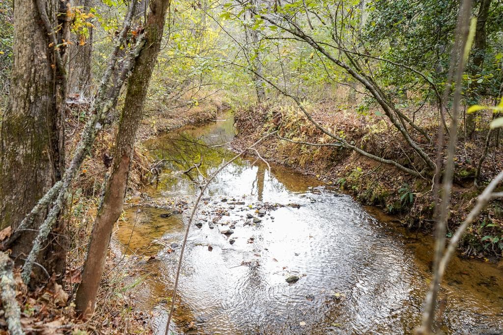 00 Rizzitello Lane, Blairsville GA 30512 - Photo