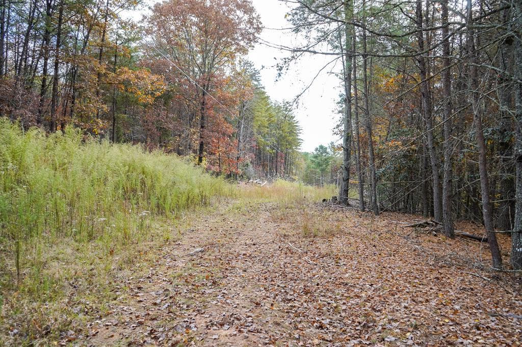 00 Rizzitello Lane, Blairsville GA 30512 - Photo