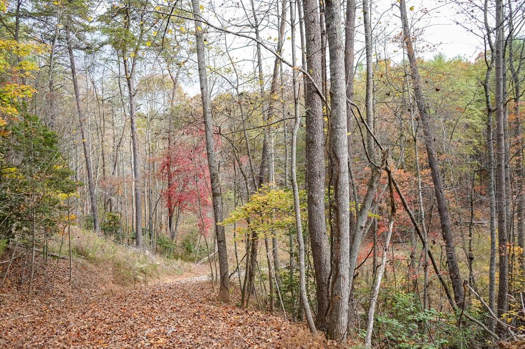 00 Rizzitello Lane, Blairsville GA 30512 - Photo