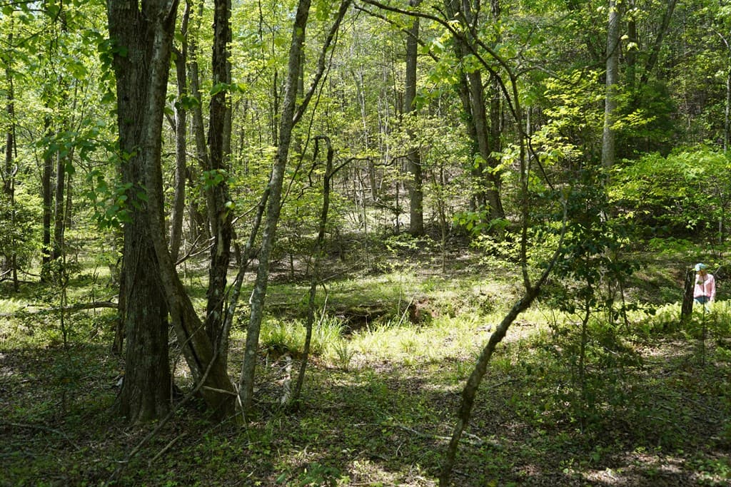00 Rizzitello Lane, Blairsville GA 30512 - Photo