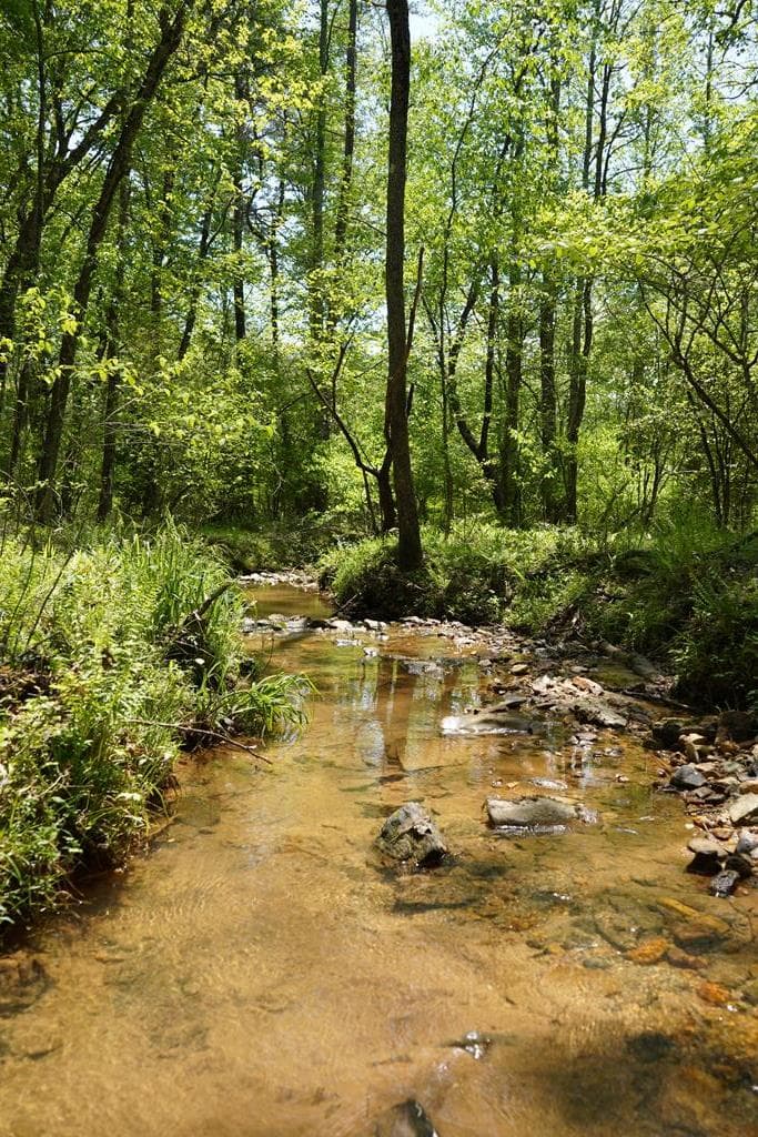 00 Rizzitello Lane, Blairsville GA 30512 - Photo