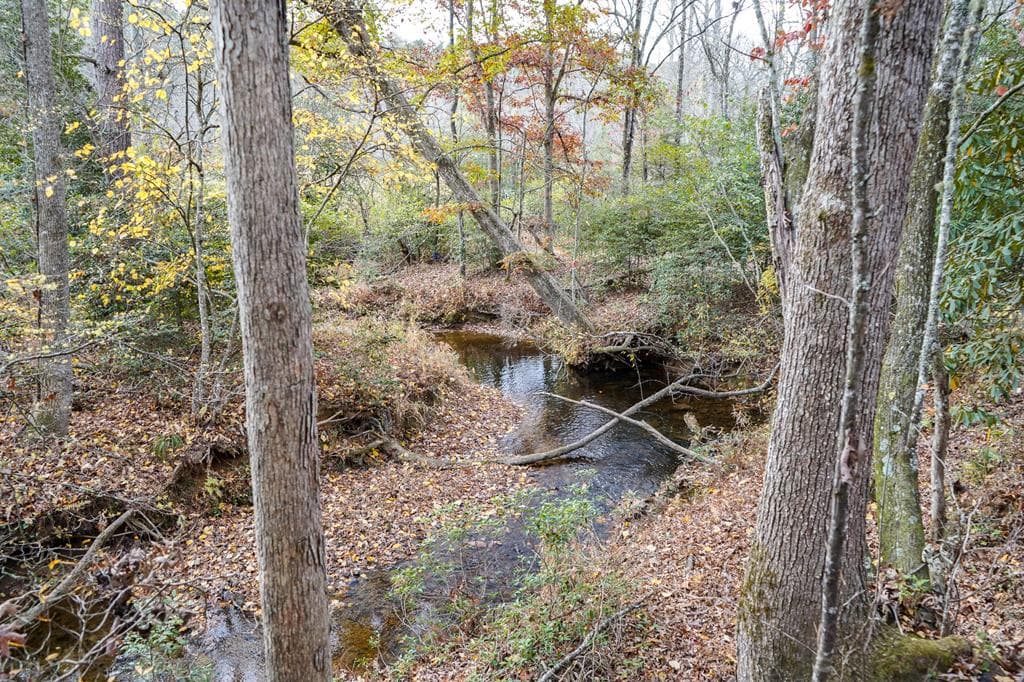 00 Rizzitello Lane, Blairsville GA 30512 - Photo