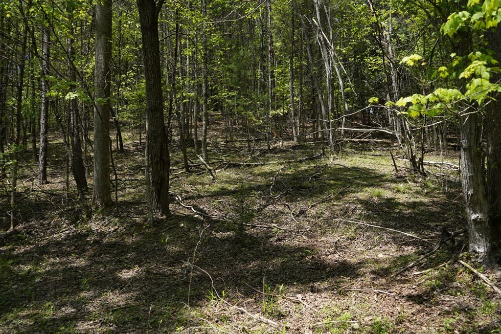 00 Rizzitello Lane, Blairsville GA 30512 - Photo