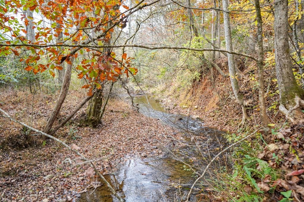 00 Rizzitello Lane, Blairsville GA 30512 - Photo