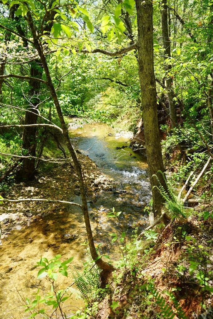 00 Rizzitello Lane, Blairsville GA 30512 - Photo