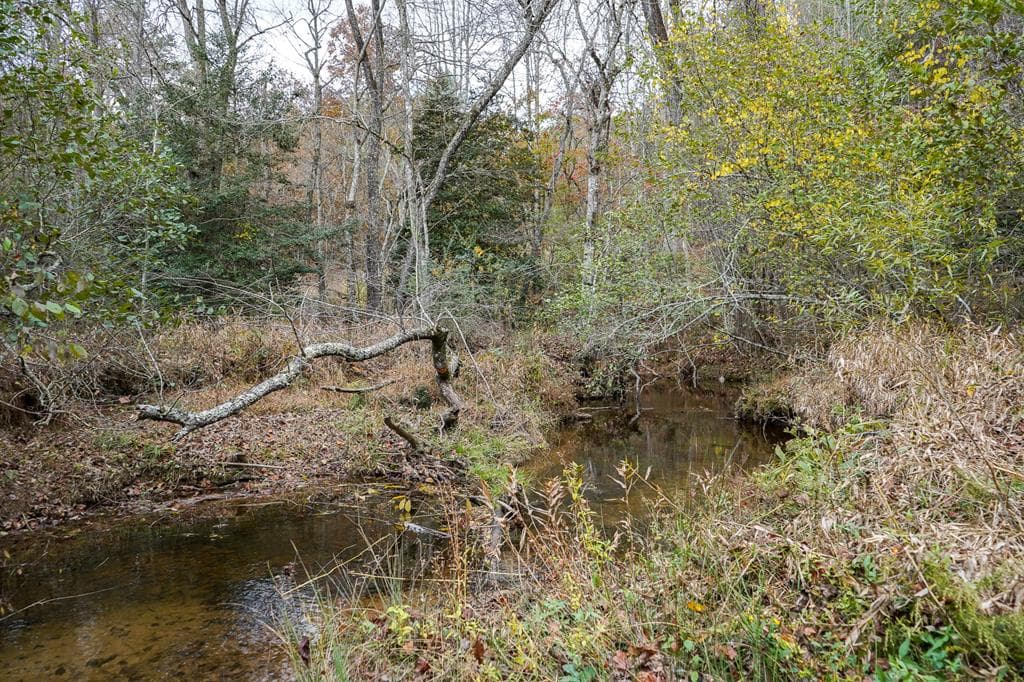 00 Rizzitello Lane, Blairsville GA 30512 - Photo