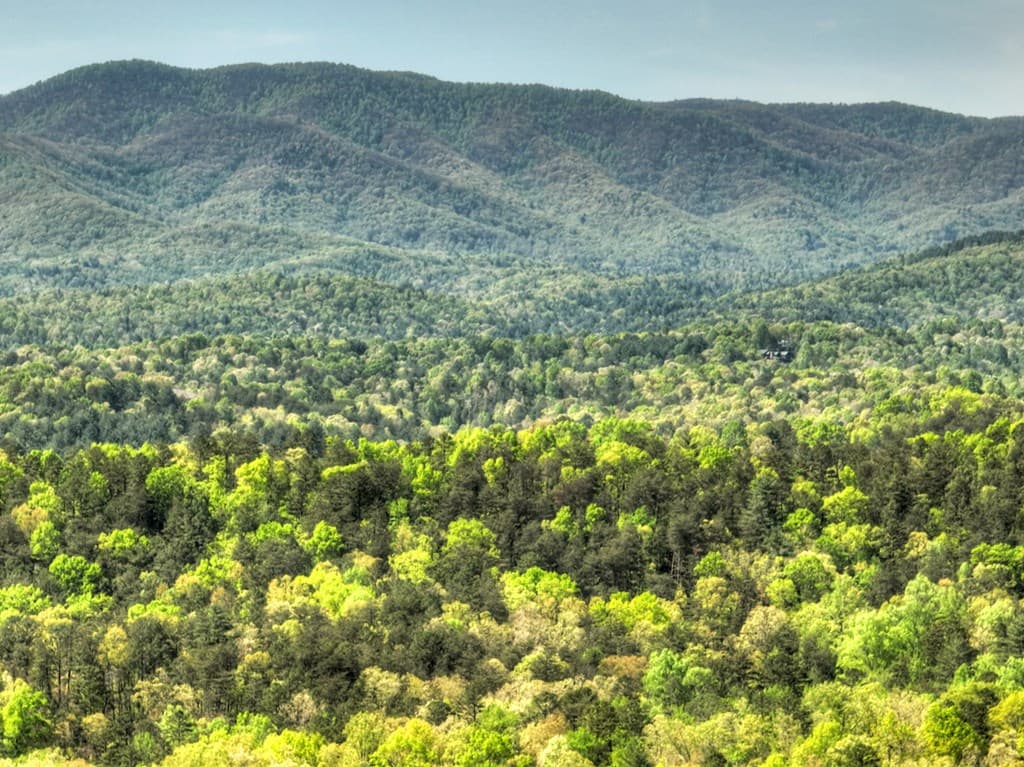 138.06AC N Hwy 515, Ellijay GA 30540 - Photo