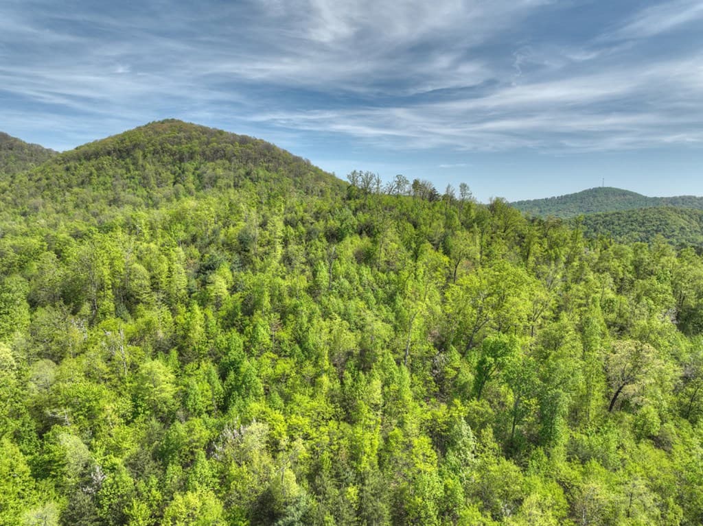 138.06AC N Hwy 515, Ellijay GA 30540 - Photo