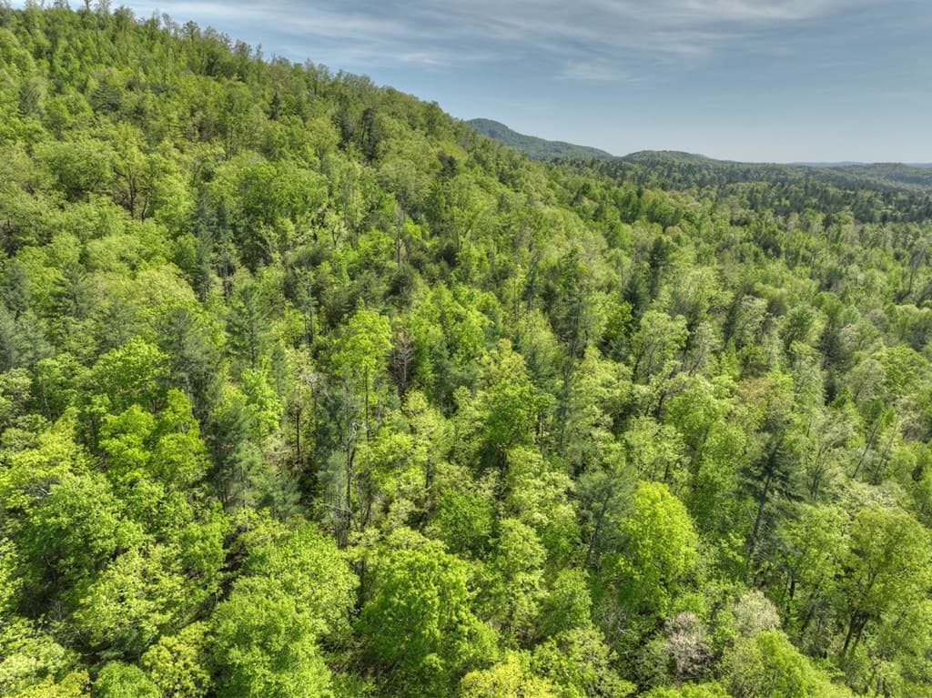 138.06AC N Hwy 515, Ellijay GA 30540 - Photo