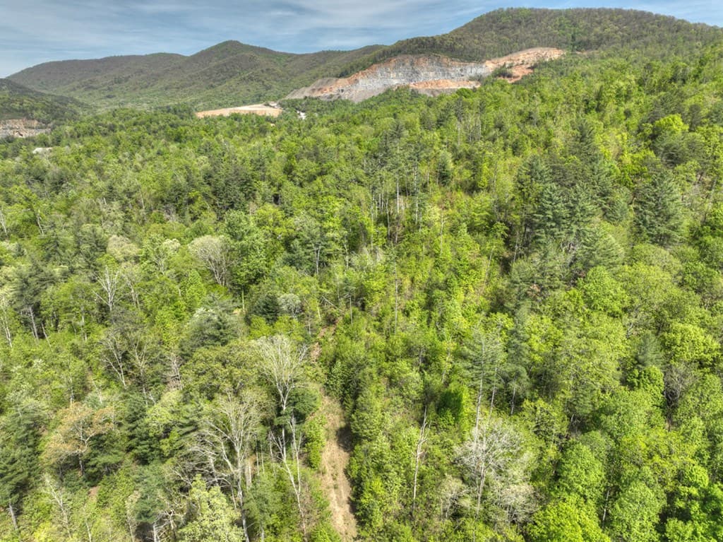 138.06AC N Hwy 515, Ellijay GA 30540 - Photo