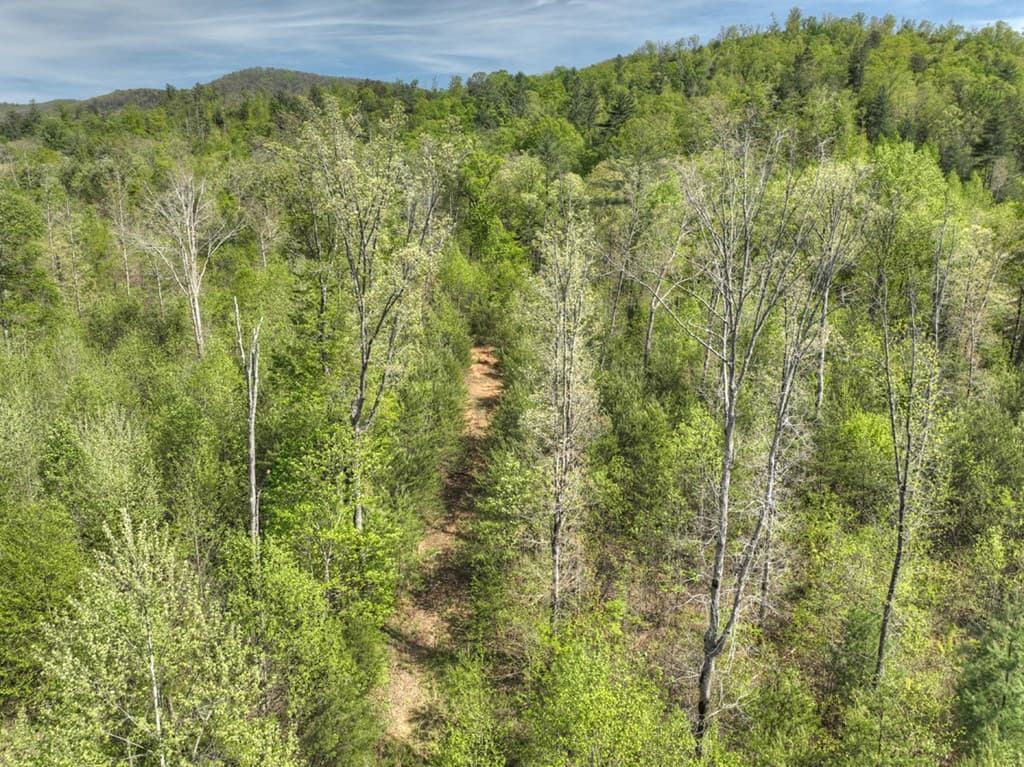 138.06AC N Hwy 515, Ellijay GA 30540 - Photo