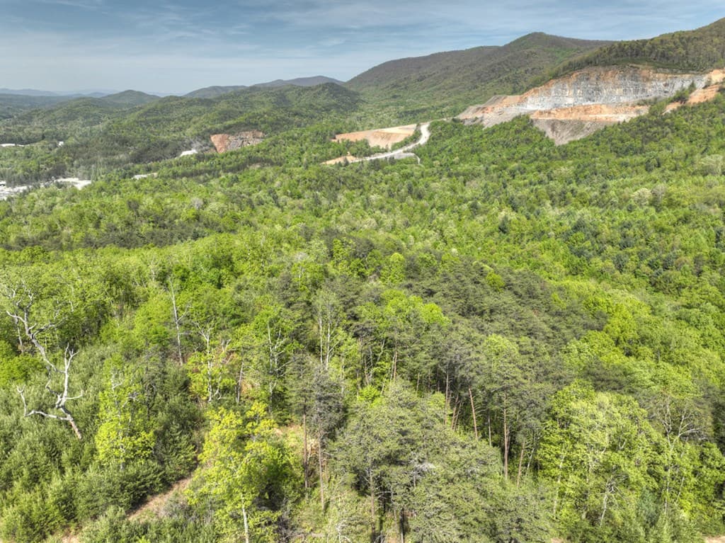 138.06AC N Hwy 515, Ellijay GA 30540 - Photo