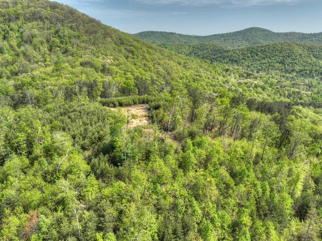 138.06AC N Hwy 515, Ellijay GA 30540 - Photo
