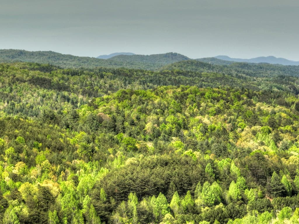 138.06AC N Hwy 515, Ellijay GA 30540 - Photo