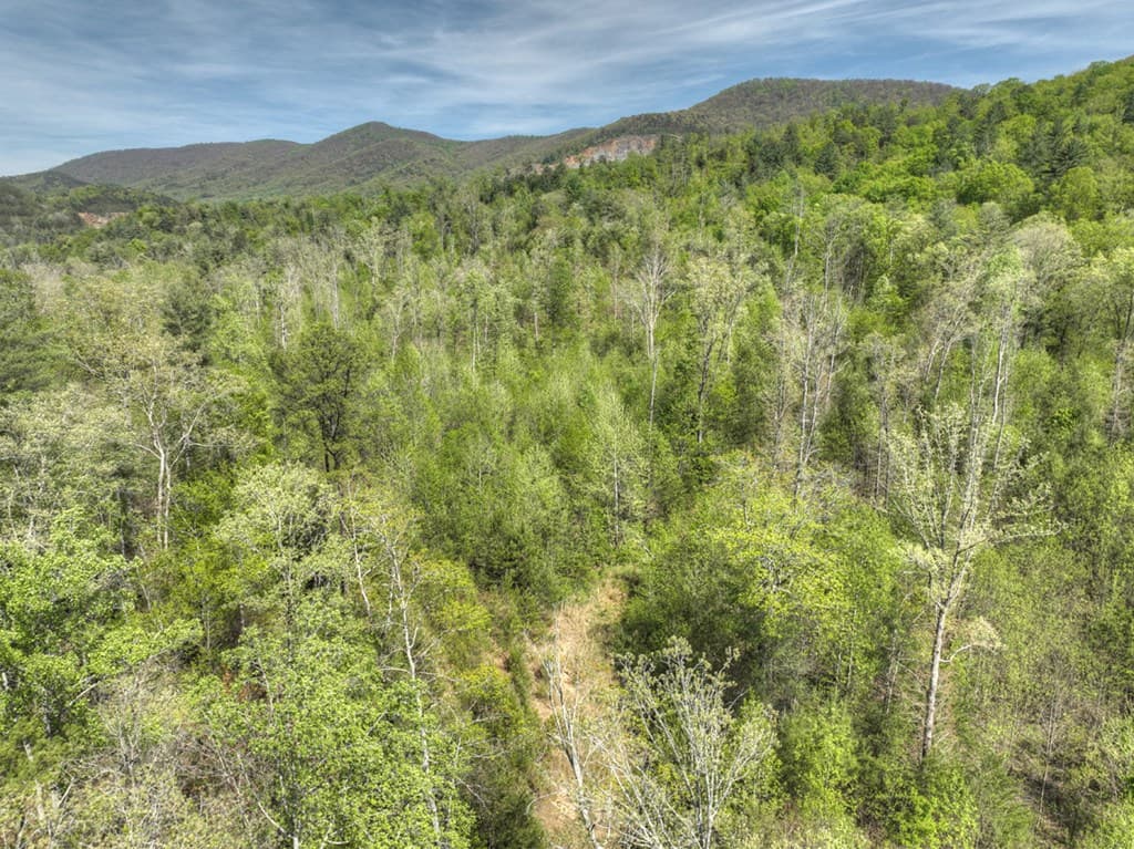 138.06AC N Hwy 515, Ellijay GA 30540 - Photo
