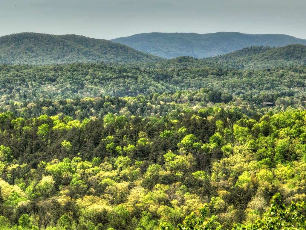 138.06AC N Hwy 515, Ellijay GA 30540 - Photo