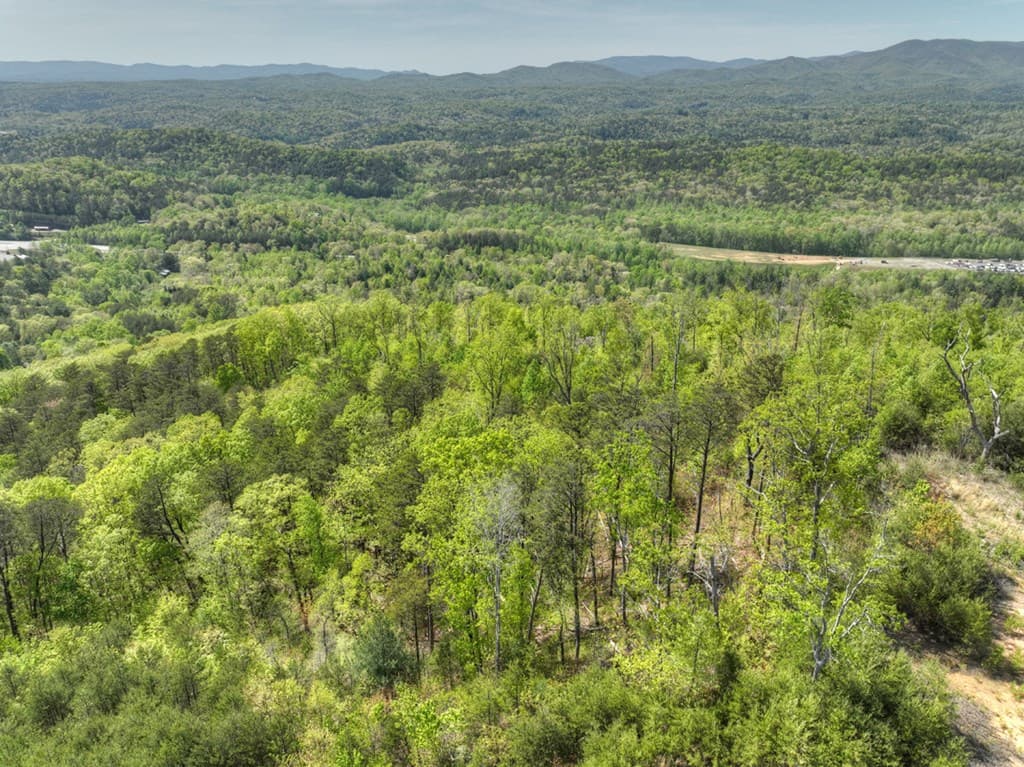 138.06AC N Hwy 515, Ellijay GA 30540 - Photo